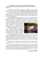 Ver documento